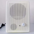 Haut-parleur mural du capteur infrarouge actif avec Bluetooth